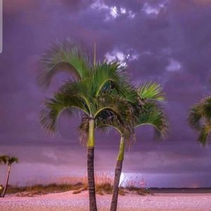 Meet your Posher, Suzanne